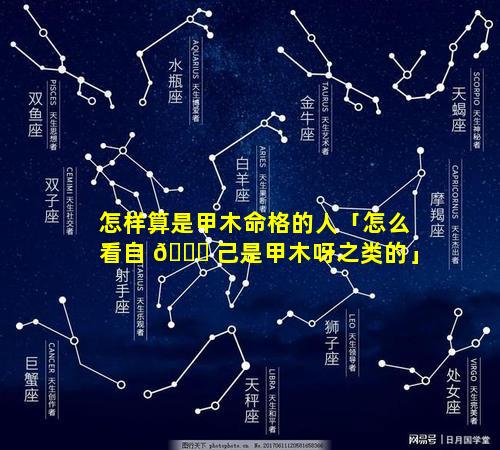 怎样算是甲木命格的人「怎么看自 🐕 己是甲木呀之类的」